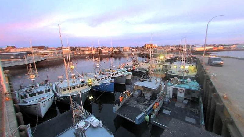 Lobster Rock Wharf East