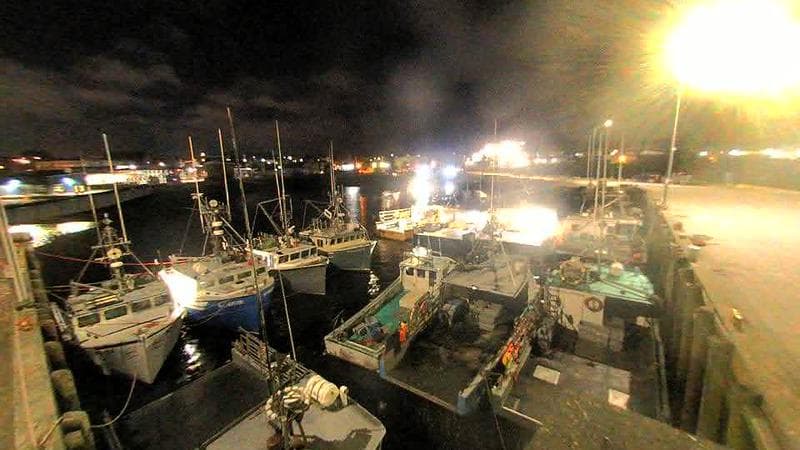 Lobster Rock Wharf East