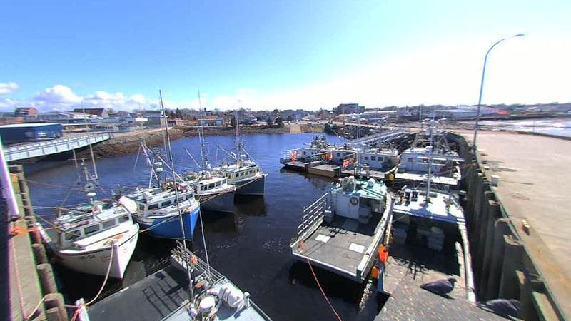 Lobster Rock Wharf East