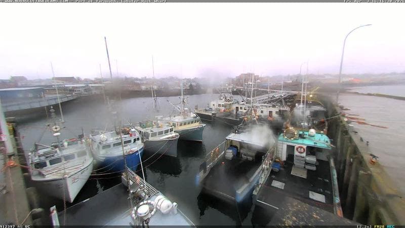 Lobster Rock Wharf East