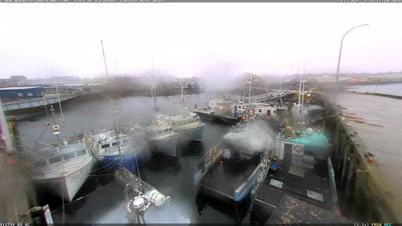 Lobster Rock Wharf East