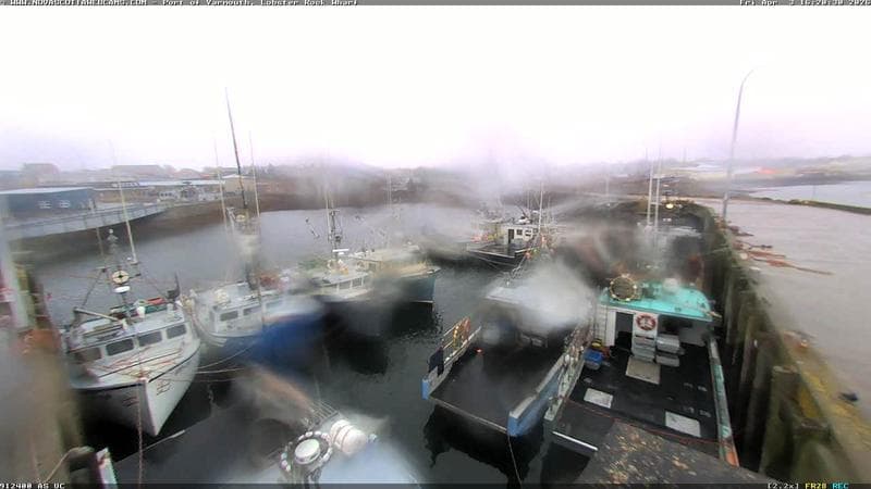 Lobster Rock Wharf East