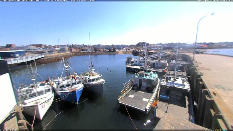 Lobster Rock Wharf East