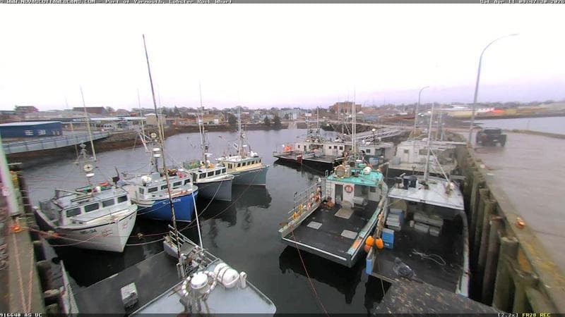 Lobster Rock Wharf East