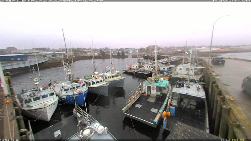Lobster Rock Wharf East