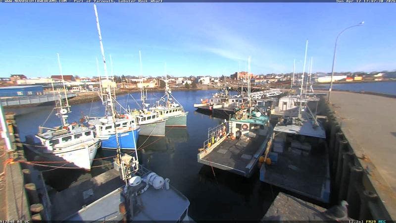 Lobster Rock Wharf East