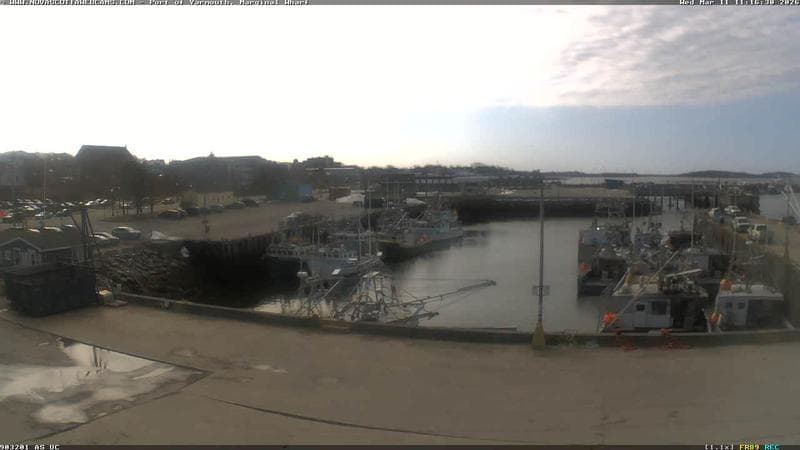 Marginal Wharf South