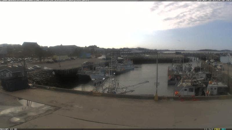 Marginal Wharf South