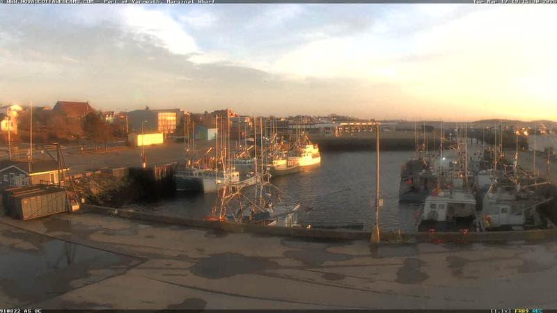 Marginal Wharf South