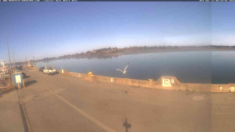 Lobster Rock Wharf West