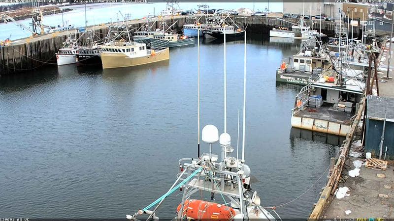 Marginal Wharf North