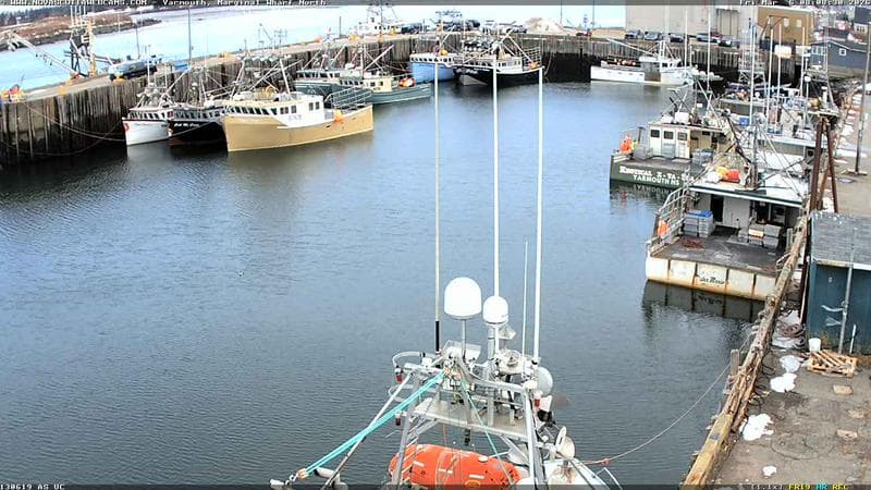 Marginal Wharf North