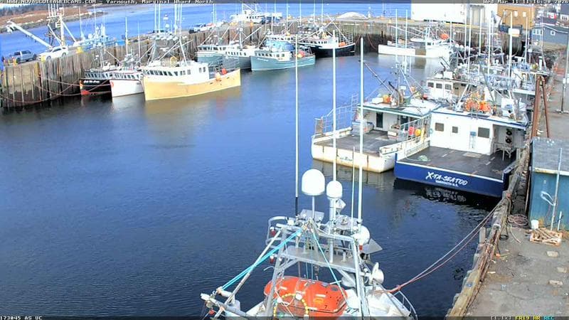 Marginal Wharf North