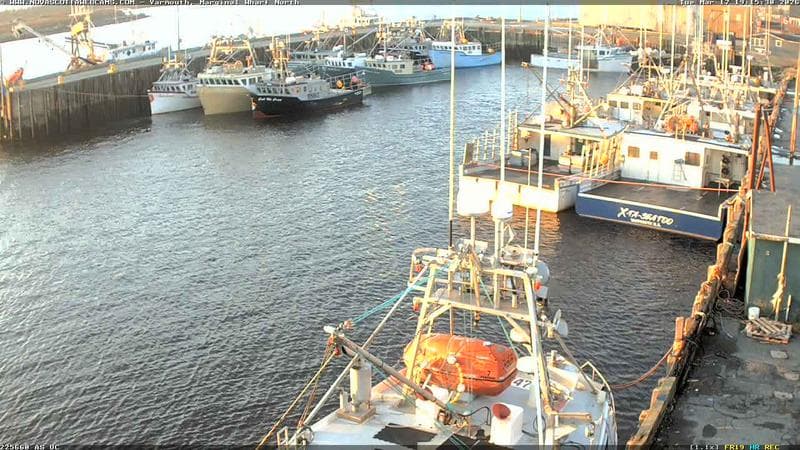 Marginal Wharf North