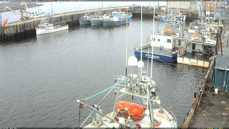 Marginal Wharf North