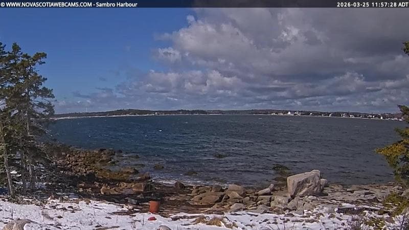 Sambro Harbour