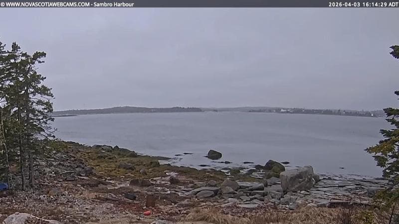 Sambro Harbour