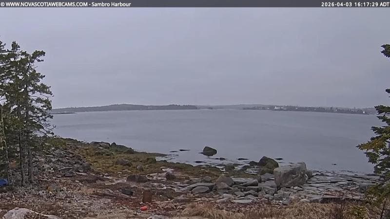Sambro Harbour