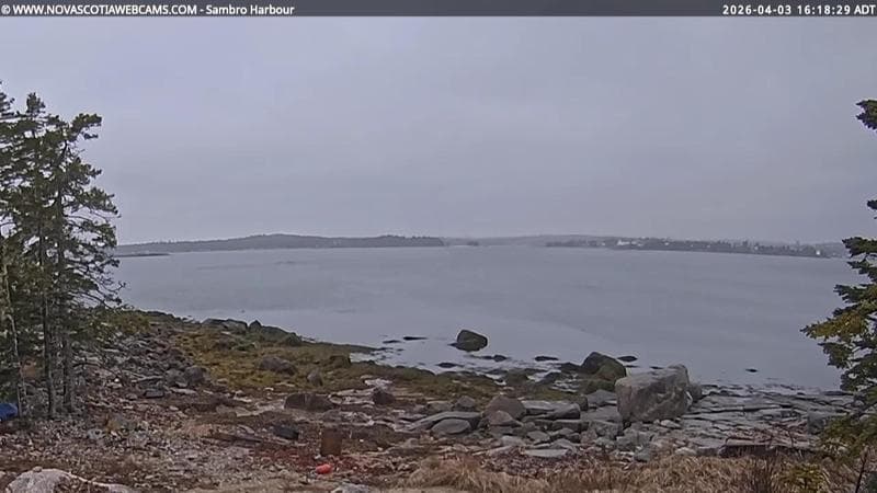 Sambro Harbour