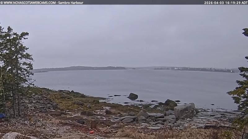 Sambro Harbour