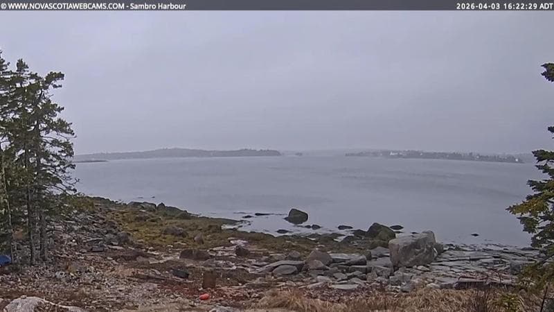 Sambro Harbour