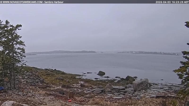 Sambro Harbour