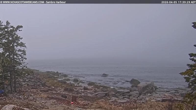 Sambro Harbour