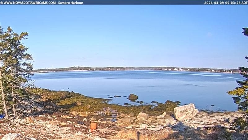 Sambro Harbour