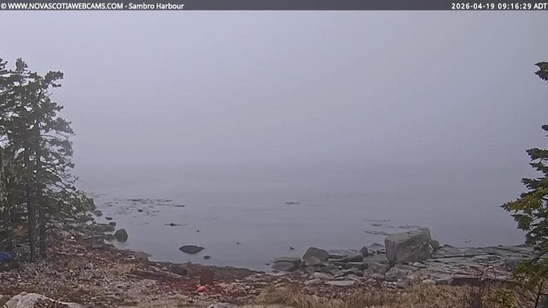 Sambro Harbour