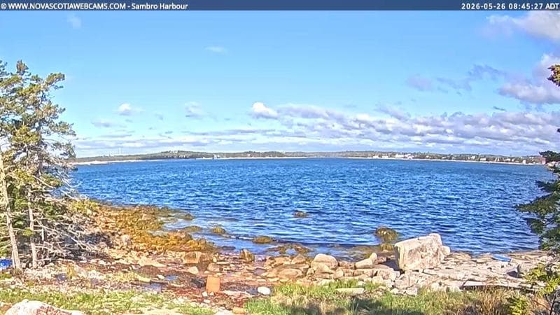 Sambro Harbour