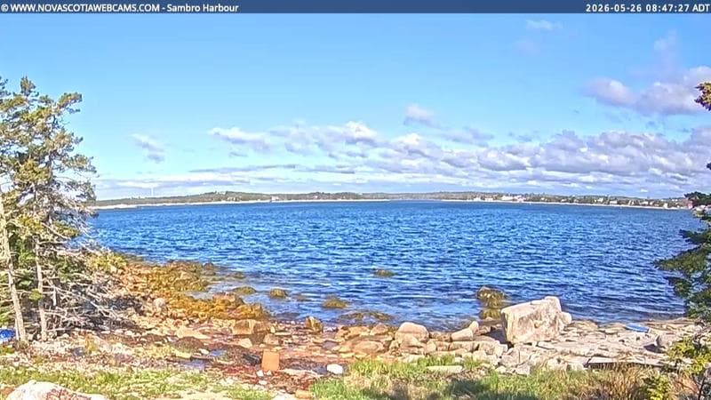 Sambro Harbour