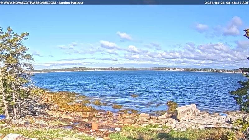 Sambro Harbour