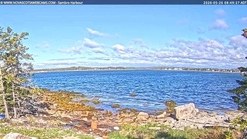 Sambro Harbour