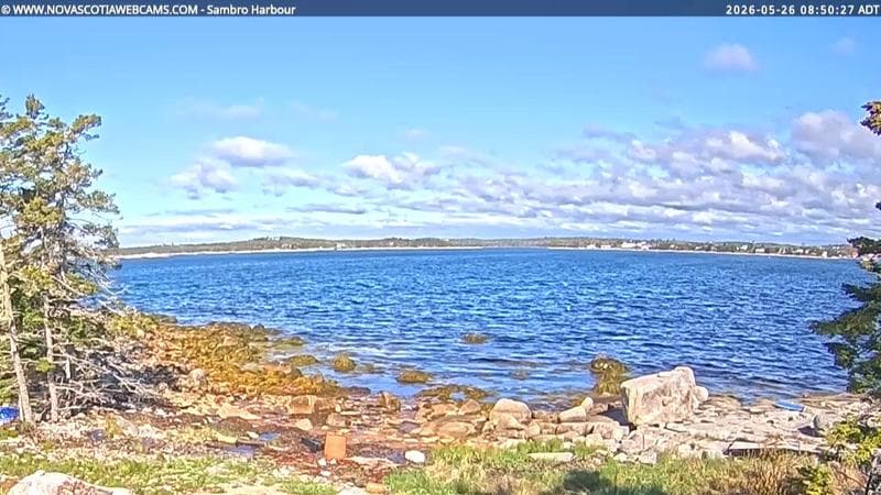 Sambro Harbour