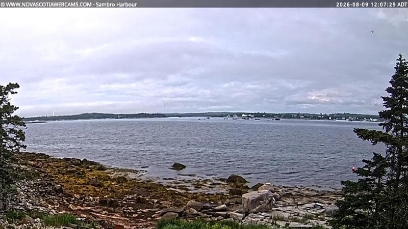 Sambro Harbour