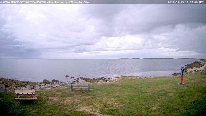 Shag Harbour