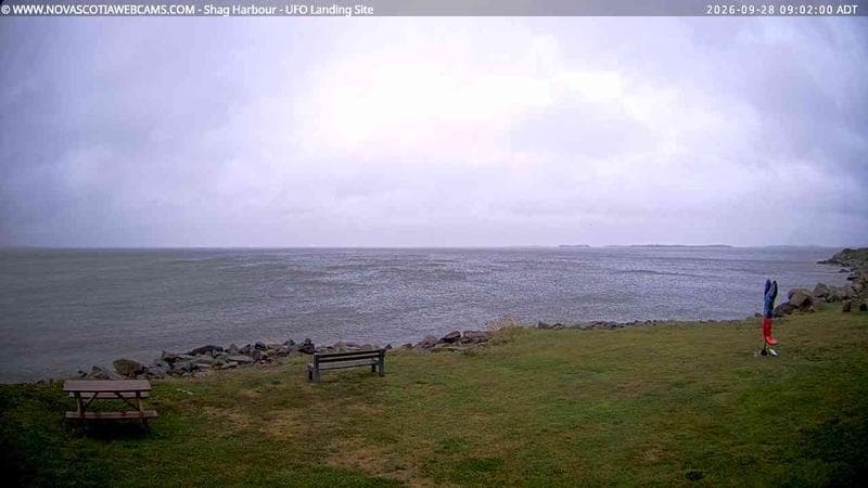 Shag Harbour