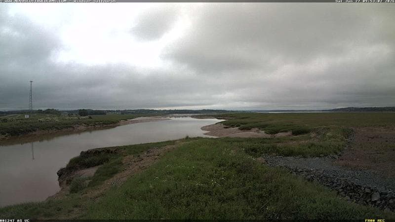 Windsor Salt Marsh