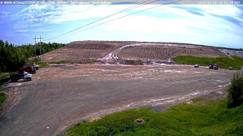 Windsor Salt
