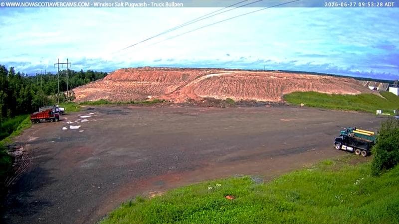 Windsor Salt