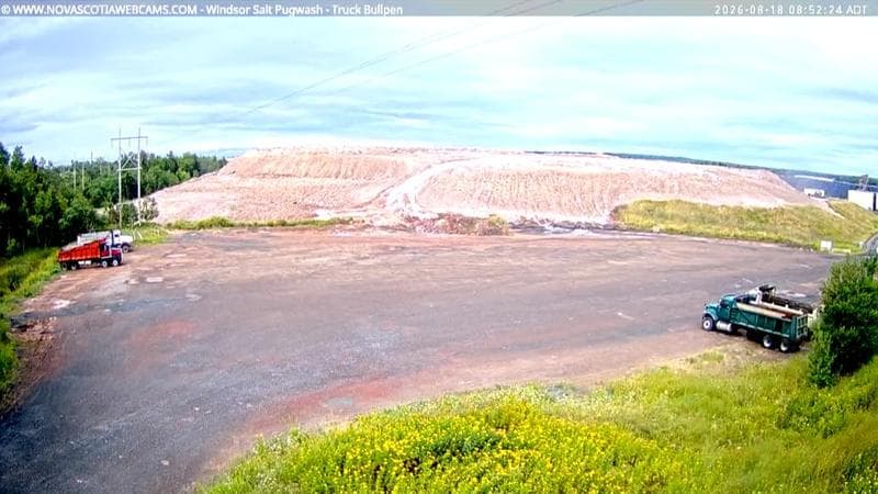 Windsor Salt