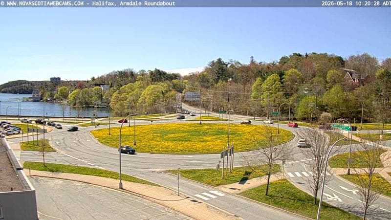 Armdale Roundabout 1