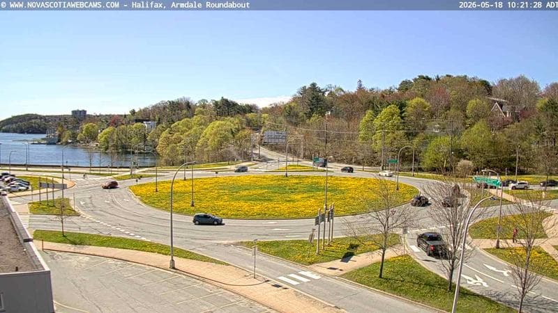 Armdale Roundabout 1