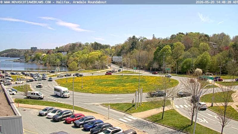 Armdale Roundabout 1