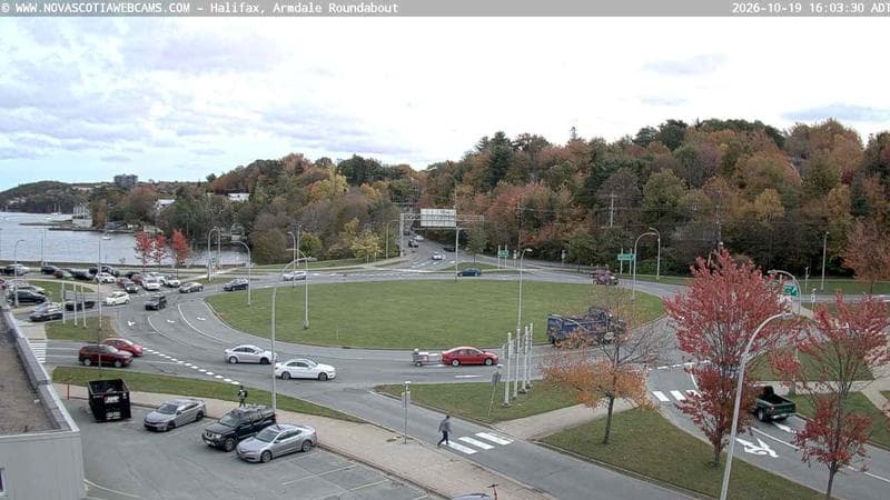Armdale Roundabout 1