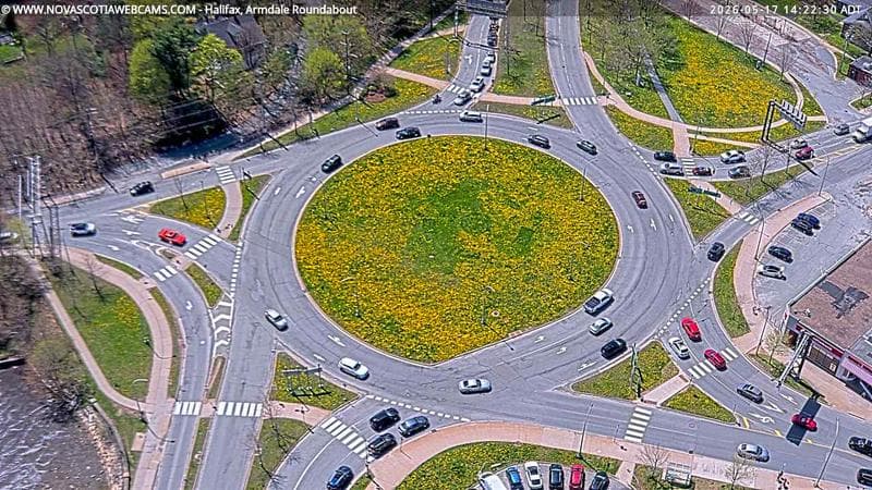 Armdale Roundabout 2
