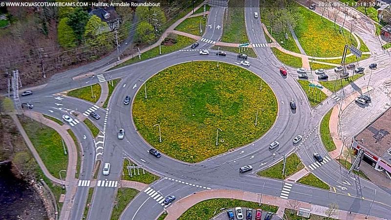 Armdale Roundabout 2
