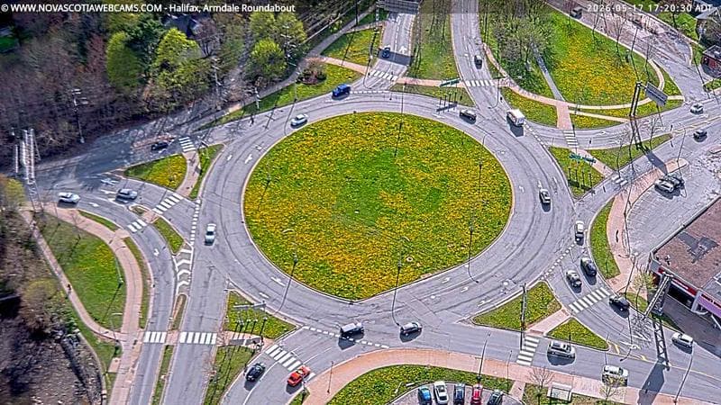 Armdale Roundabout 2