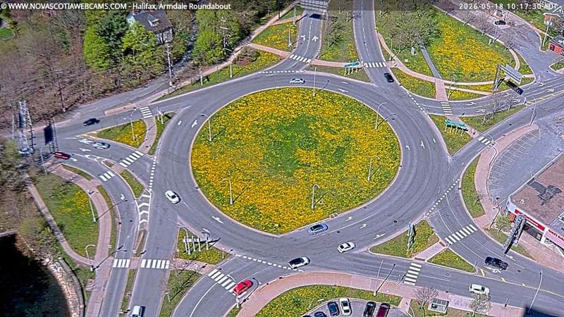 Armdale Roundabout 2