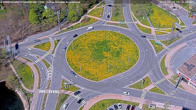 Armdale Roundabout 2